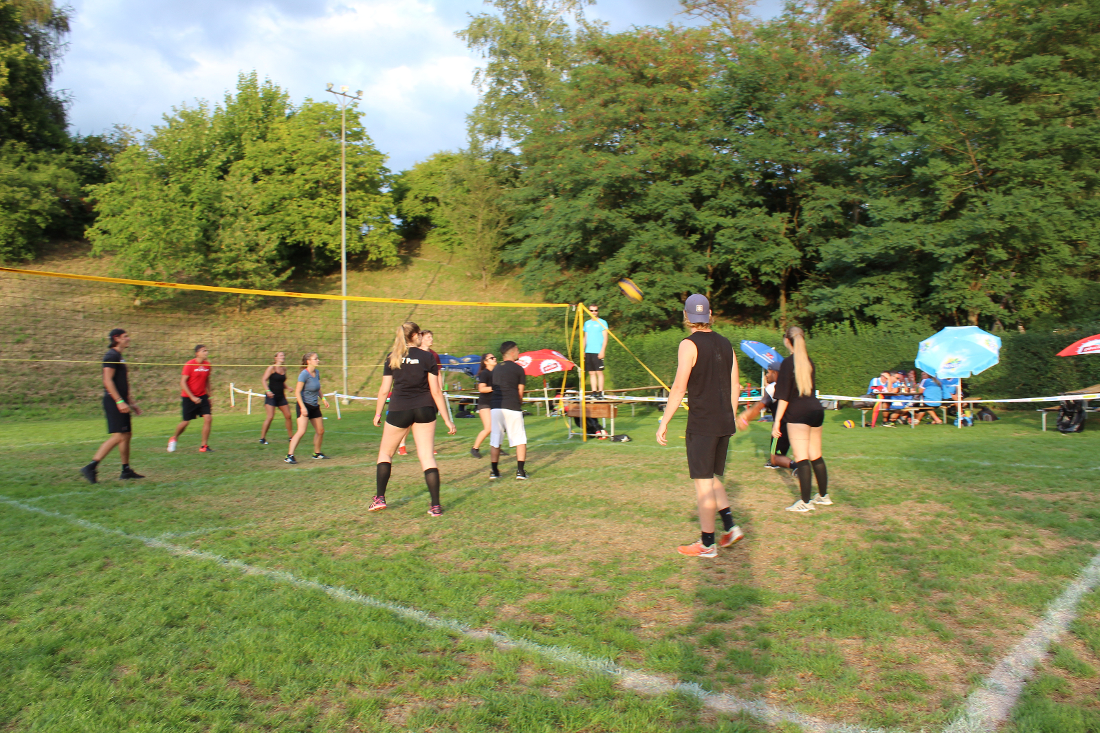 Volley  (133)